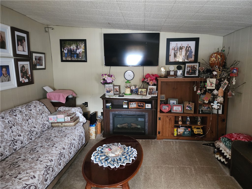 6683 Rayrene Drive Elbridge, NY 13080 - Photo 5 of 20