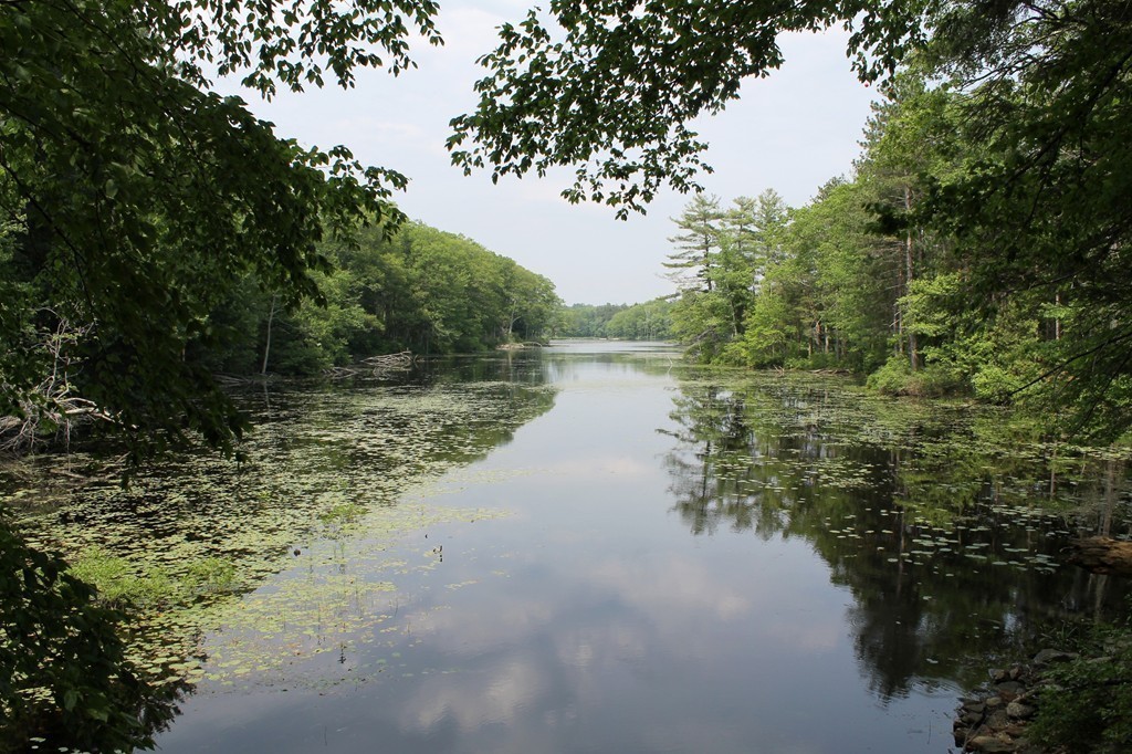 230 West Sutton Road Sutton, MA 01590 - Photo 28 of 28 a view of a lake with a forest