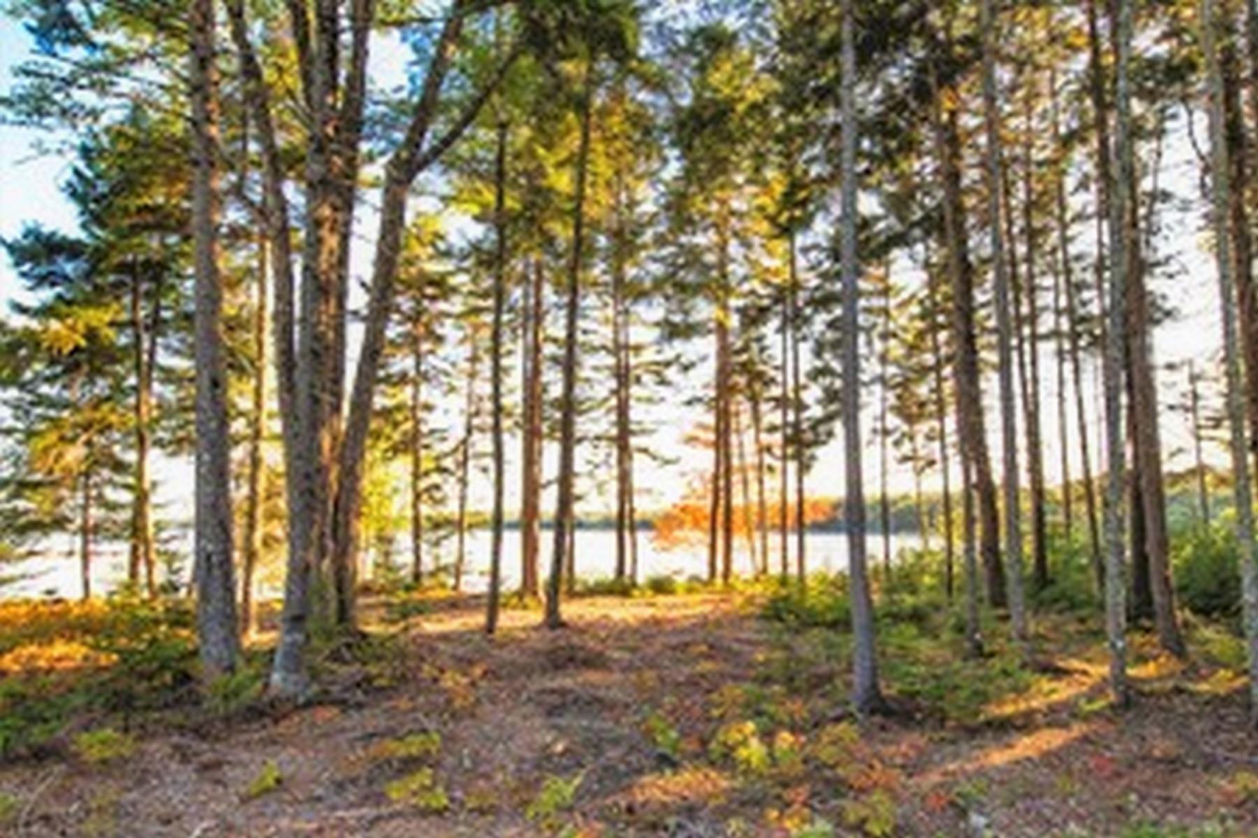11 Sandpiper Shores Road Gouldsboro, ME 04607 - Photo 28 of 29 27.View Thru the Woods