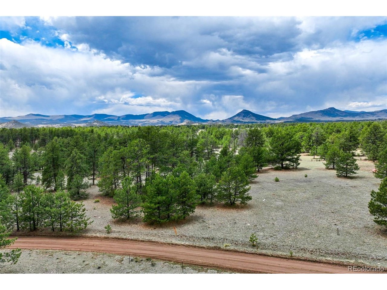103 Doe Valley Road Guffey, CO 80820 - Photo 38 of 46