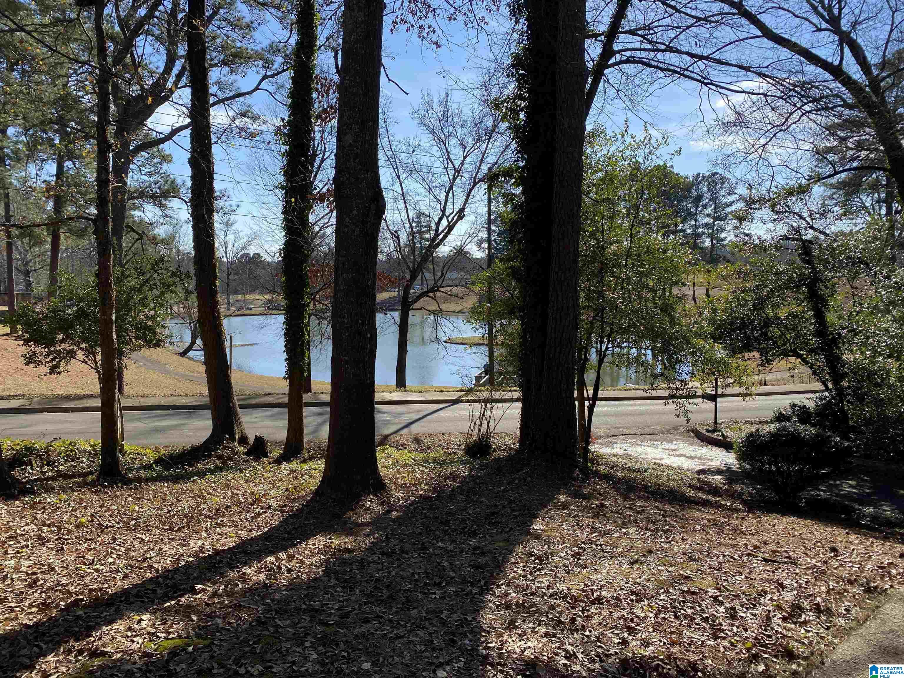 1008 6th Street West Jasper, AL 35501 - Photo 30 of 37