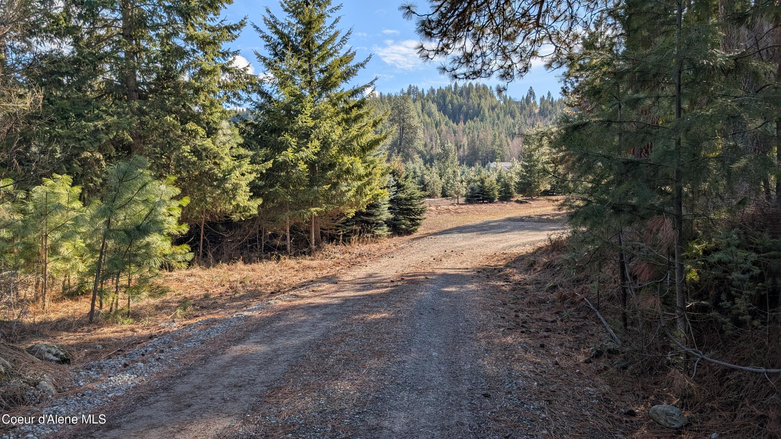 6337 Mc Call Street Bonners Ferry, ID 83805 - Photo 11 of 37 6337 McCall pic 20