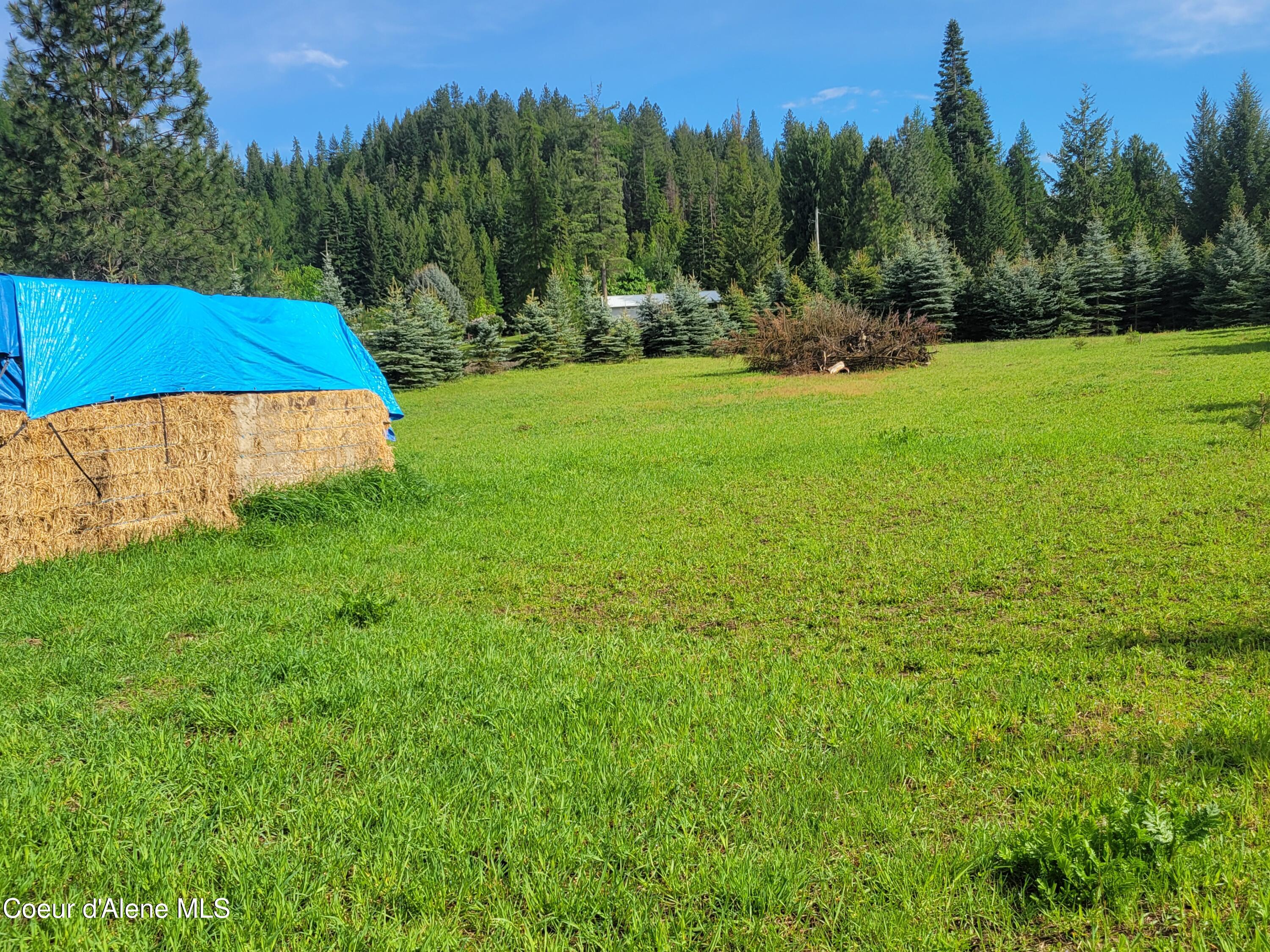 6337 Mc Call Street Bonners Ferry, ID 83805 - Photo 16 of 37 6337 McCall pic 35