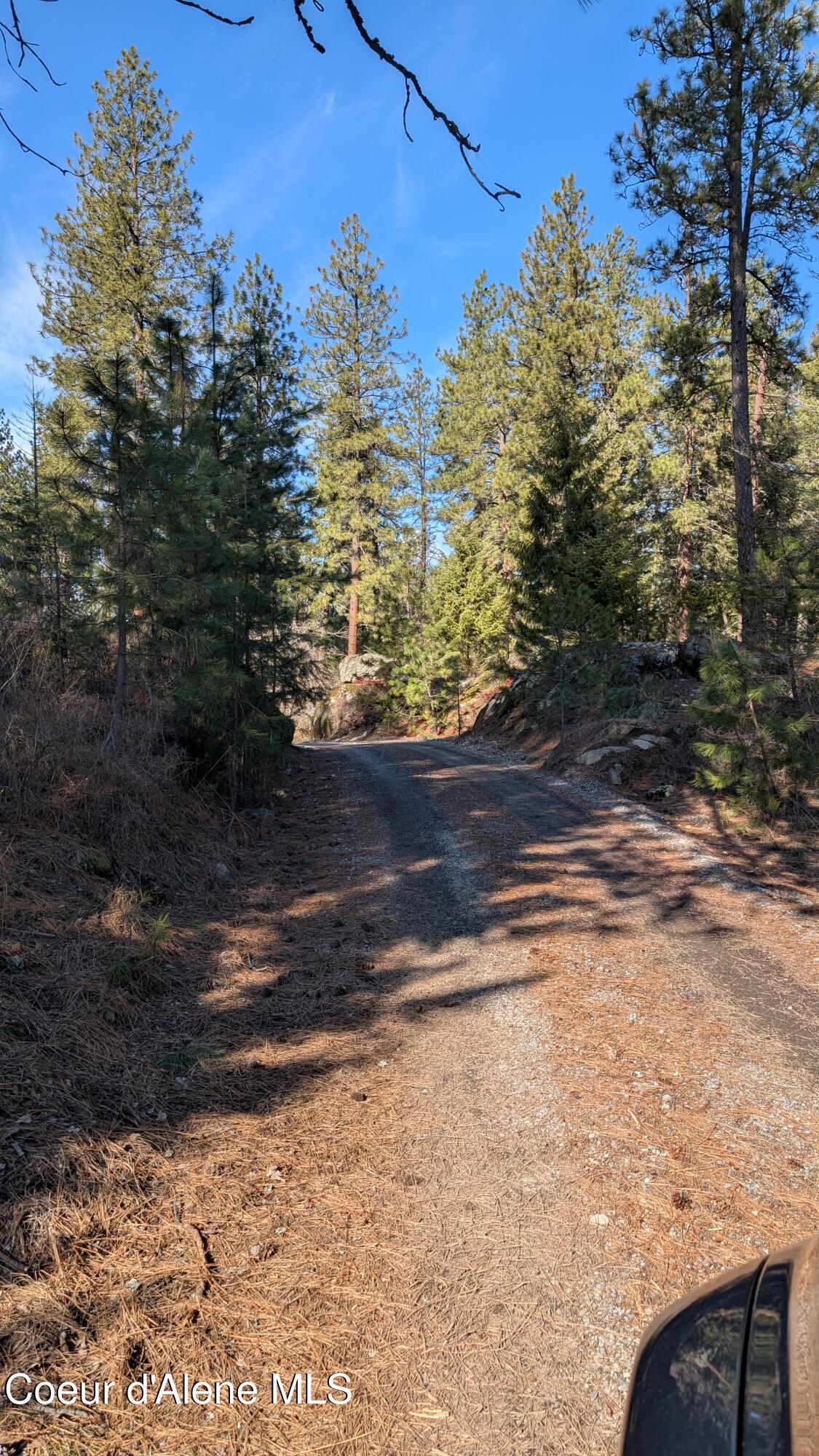 6337 Mc Call Street Bonners Ferry, ID 83805 - Photo 17 of 37 6337 McCall pic 21