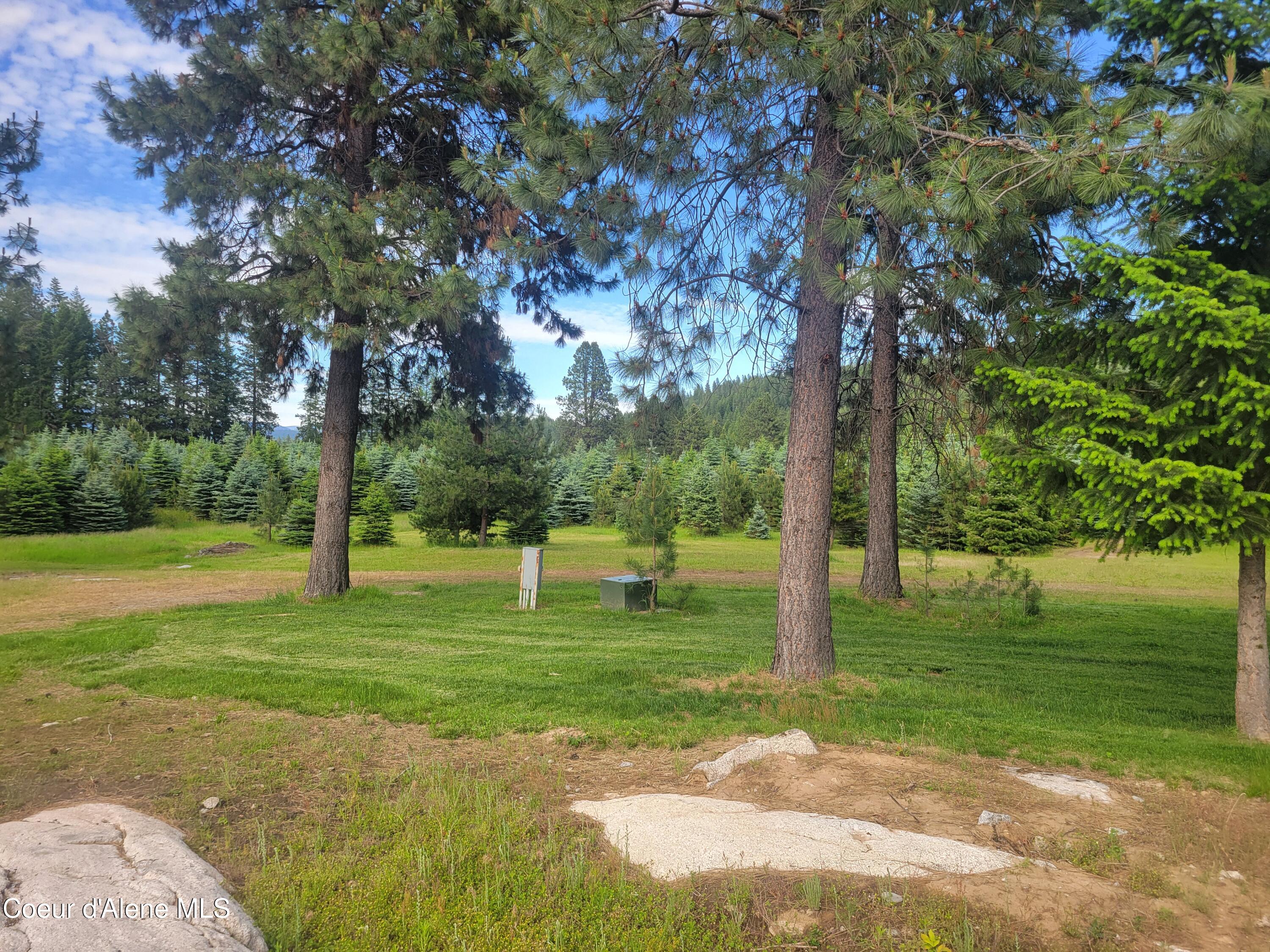 6337 Mc Call Street Bonners Ferry, ID 83805 - Photo 9 of 37 6337 McCall pic 4