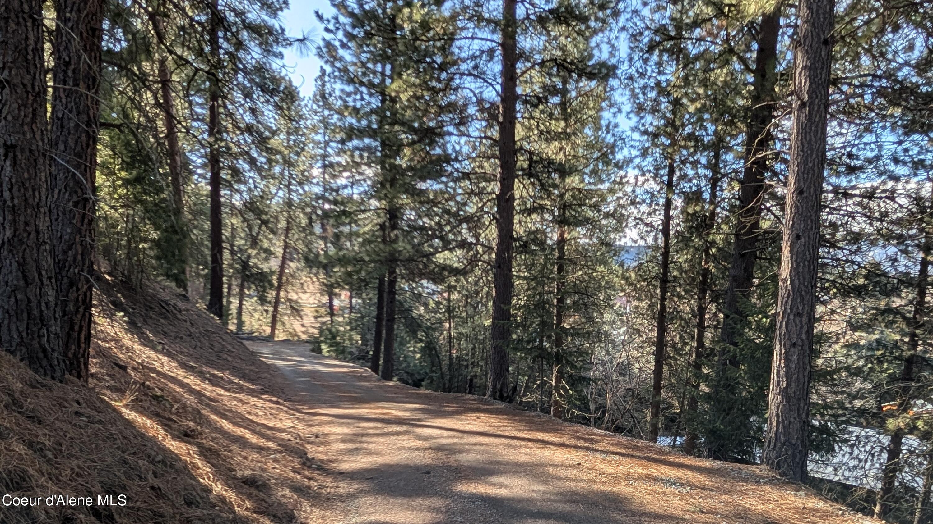 6337 Mc Call Street Bonners Ferry, ID 83805 - Photo 10 of 37 6337 McCall pic 19