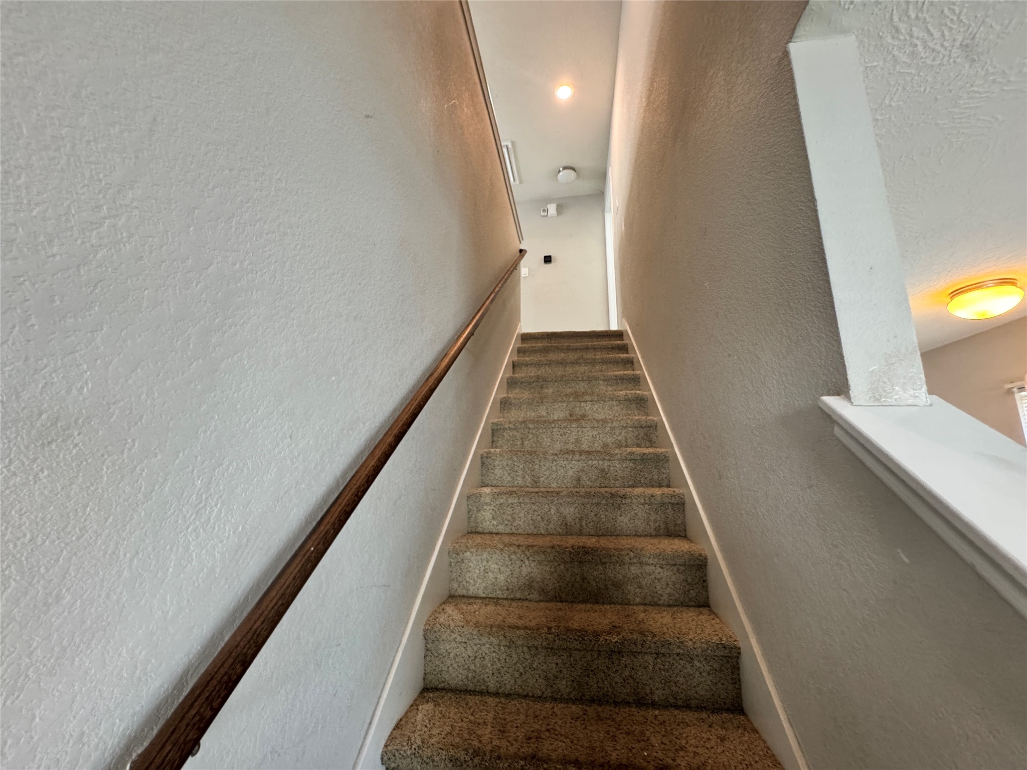 19248 Red Argan Court Houston, TX 77073 - Photo 8 of 17