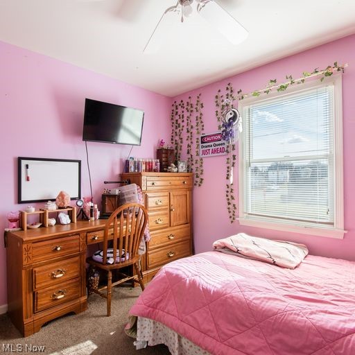 175 Creed Street Struthers, OH 44471 - Photo 20 of 35 Gallery Image 20