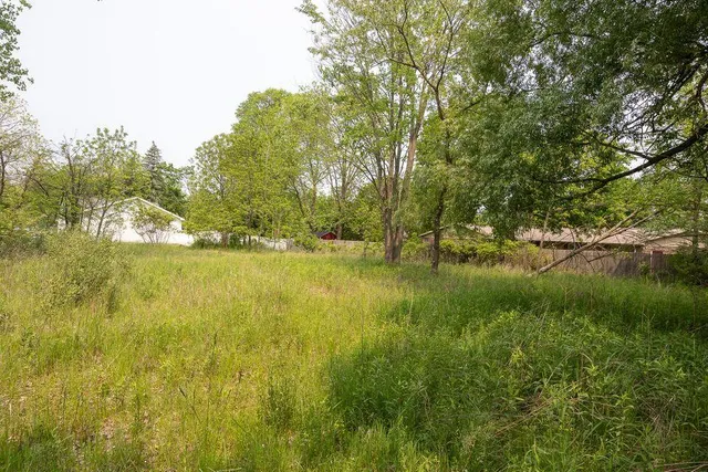 $89,900 | 197 East Elm Street, Cedar Springs, MI 49319