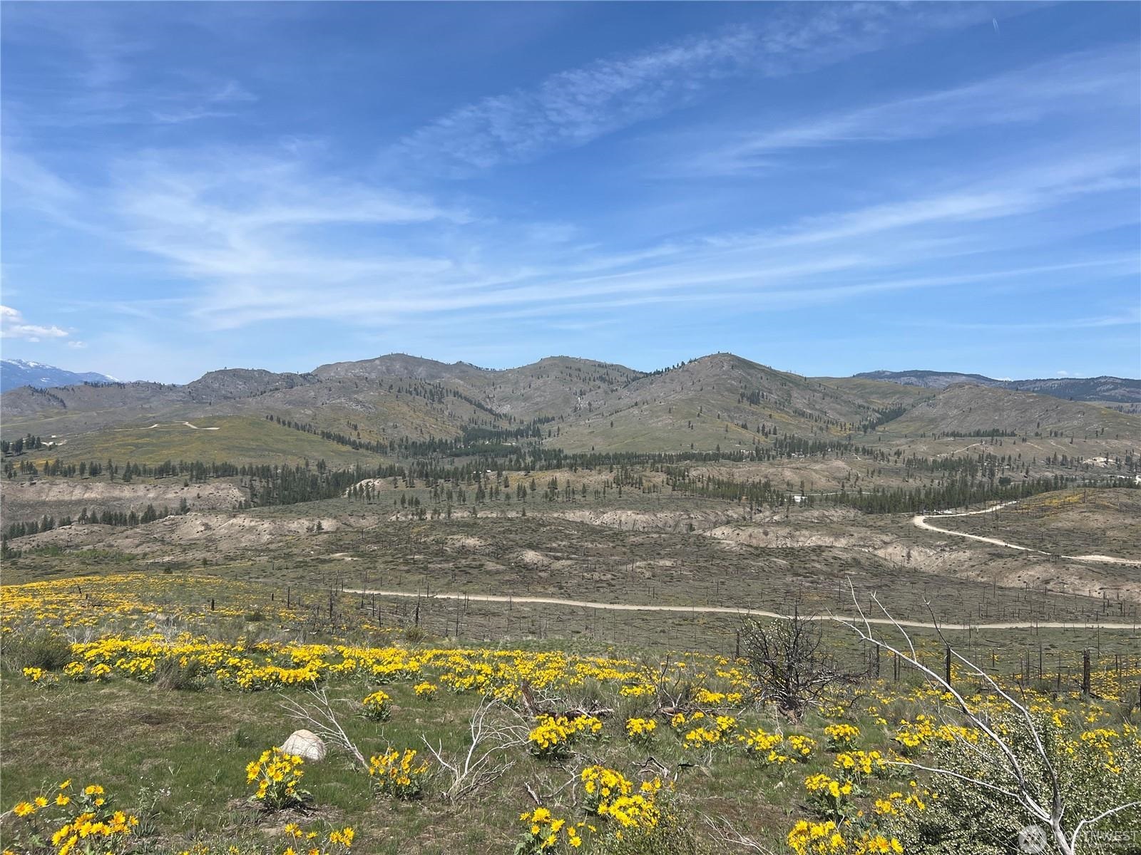 Lot 4 High Rnch Road Carlton, WA 98814 - Photo 2 of 6