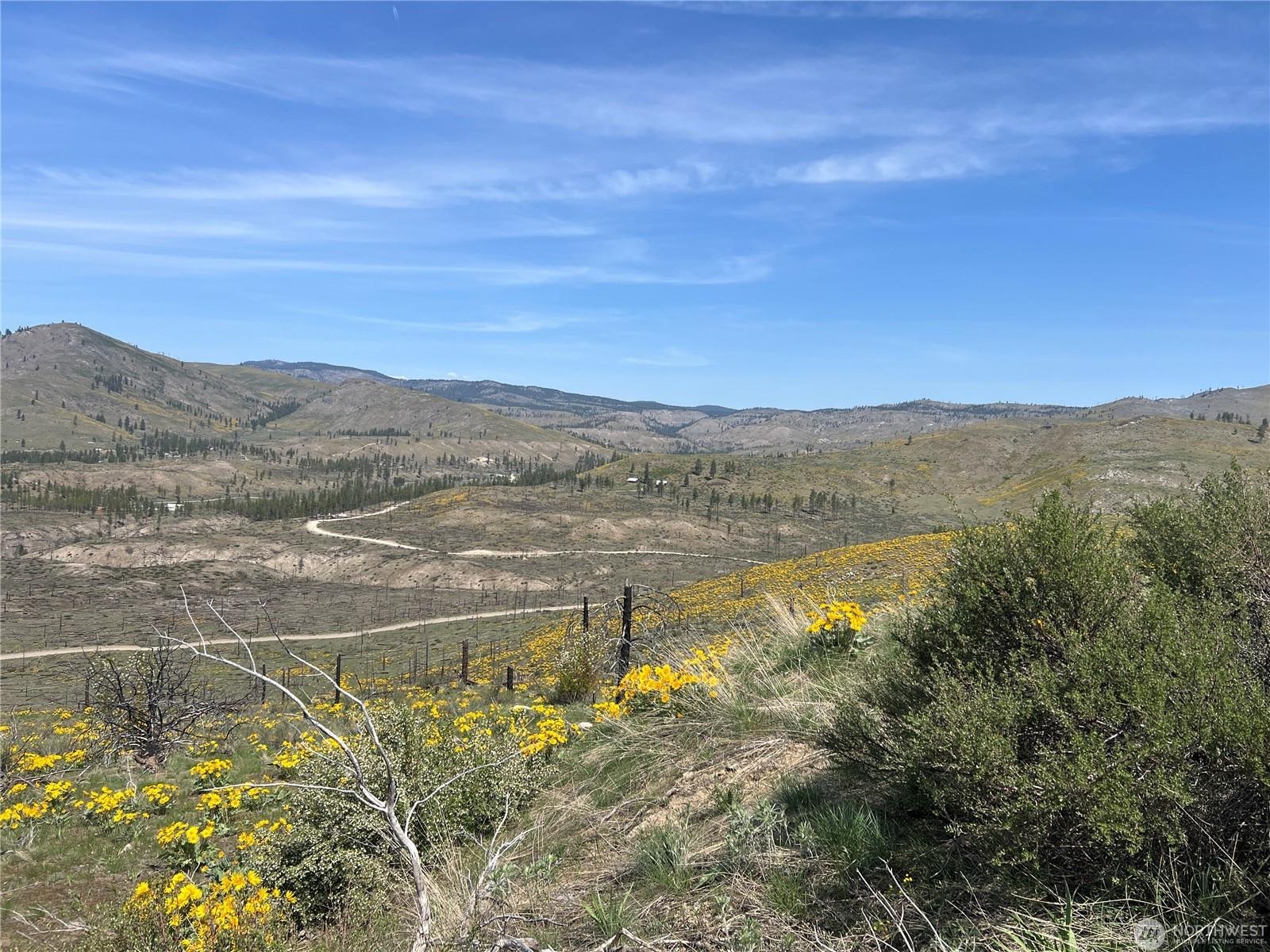 Lot 4 High Rnch Road Carlton, WA 98814 - Photo 3 of 6