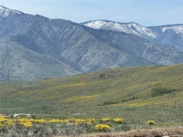 $95,000 | Lot 4 High Rnch Road, Carlton, WA 98814