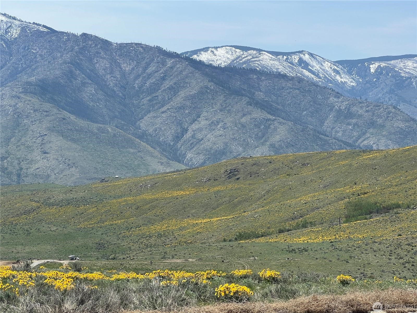 Lot 4 High Rnch Road Carlton, WA 98814 - Photo 5 of 6