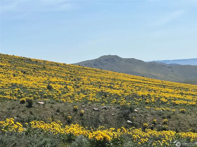 $95,000 | Lot 4 High Rnch Road, Carlton, WA 98814