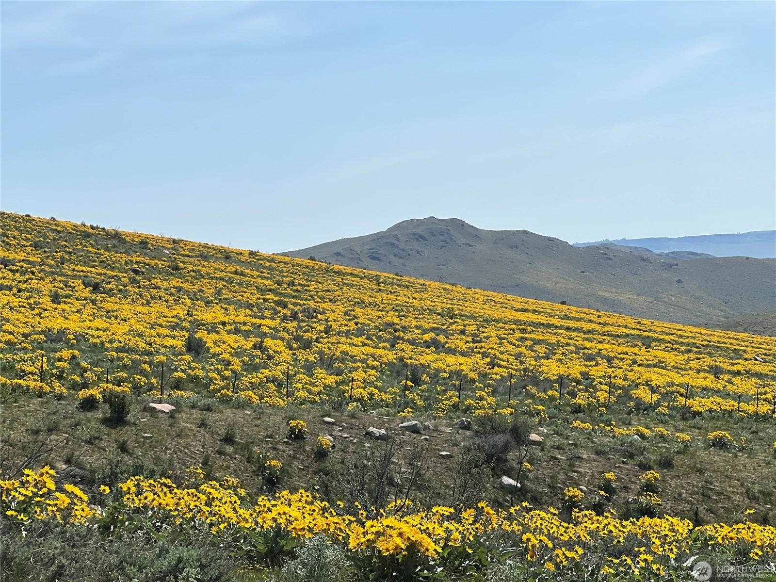 Lot 4 High Rnch Road Carlton, WA 98814 - Photo 6 of 6