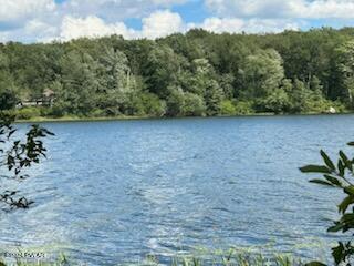 Lot R-c3 Spruce Lake Road Thompson, PA 18465 - Photo 10 of 17