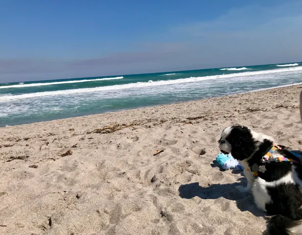 $545,000 | 1605 Highway 1, Unit 204 M3, Jupiter, FL 33477