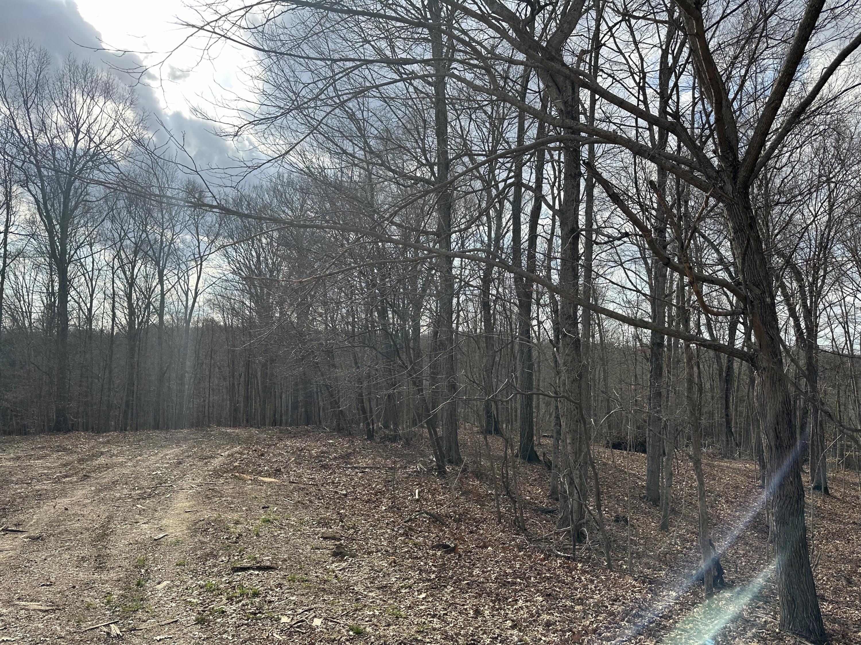 3435 Fox Trail Road Corinth, KY 41010 - Photo 13 of 19