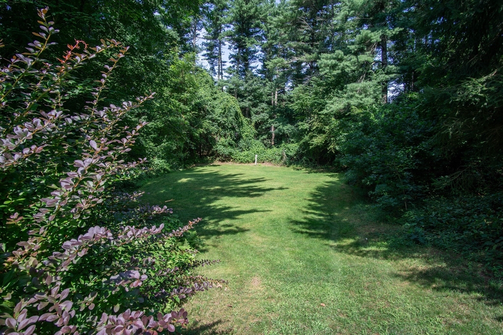 56 Chace Road East Freetown, MA 02717 - Photo 27 of 39 a lush green forest with lots of trees