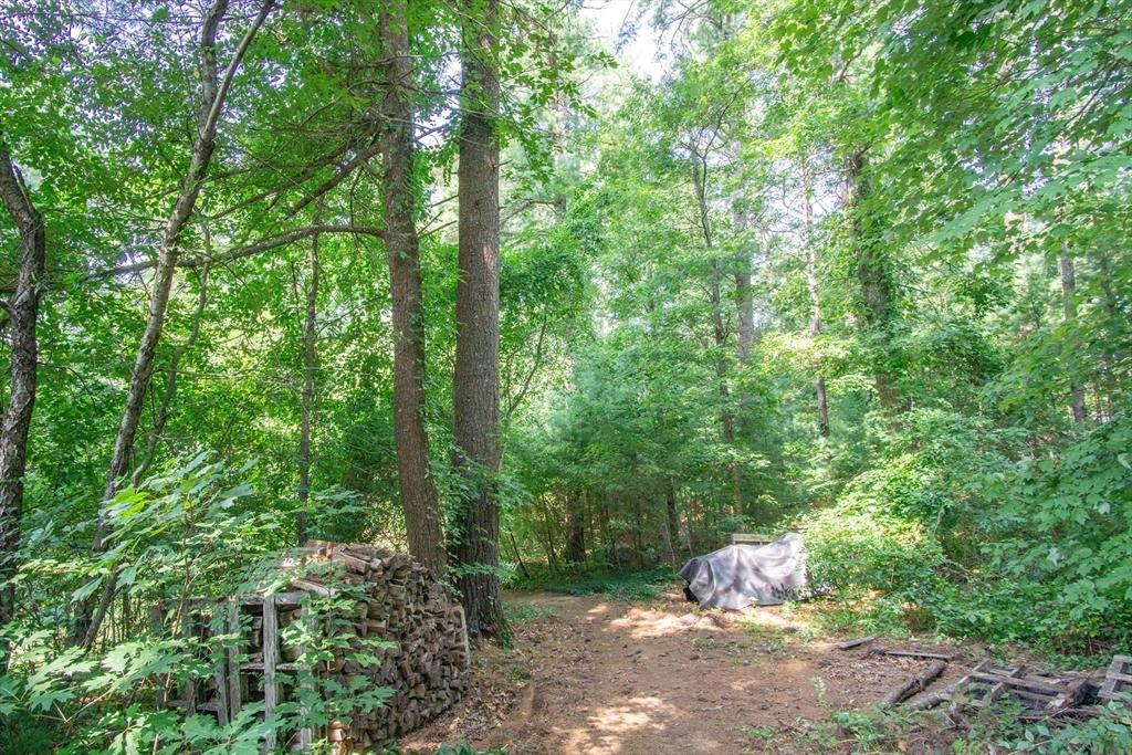 56 Chace Road East Freetown, MA 02717 - Photo 29 of 39 a big yard with lots of green space and plants