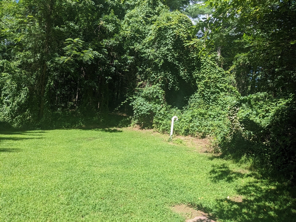 56 Chace Road East Freetown, MA 02717 - Photo 36 of 39 a backyard of a house with a lots of trees
