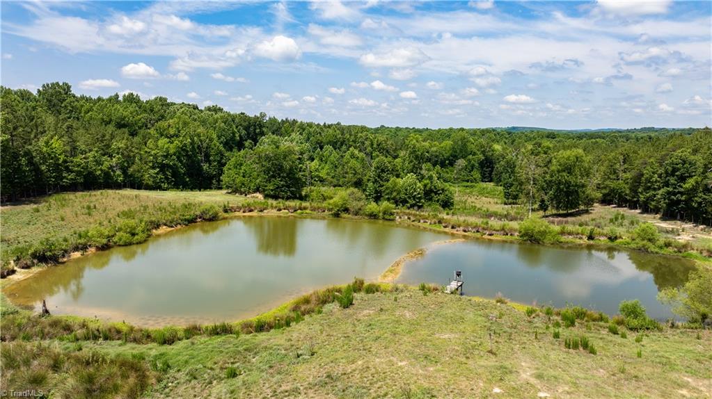 4996 Little Beane Store Road Seagrove, NC 27341 - Photo 40 of 49
