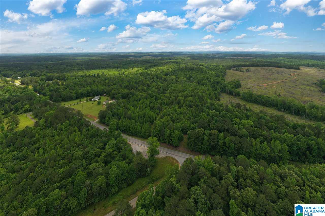 5936 Montevallo Road Centreville, AL 35042 - Photo 10 of 35
