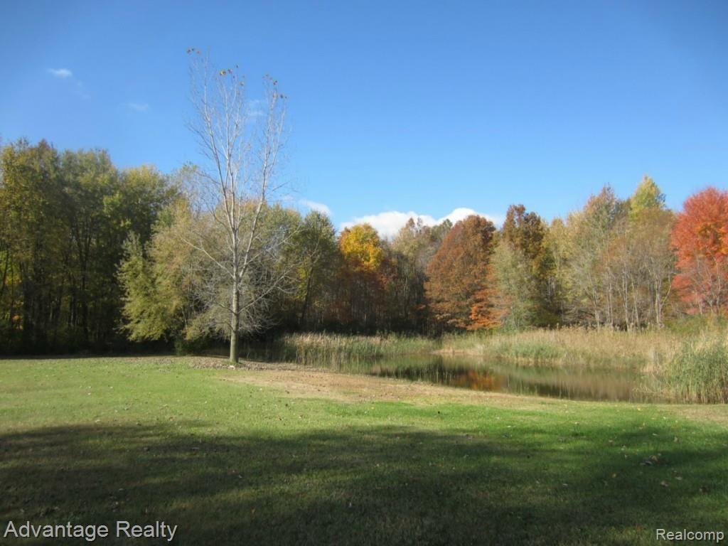8220 McKinley Road Algonac, MI 48001 - Photo 36 of 40 pond 1.jpg