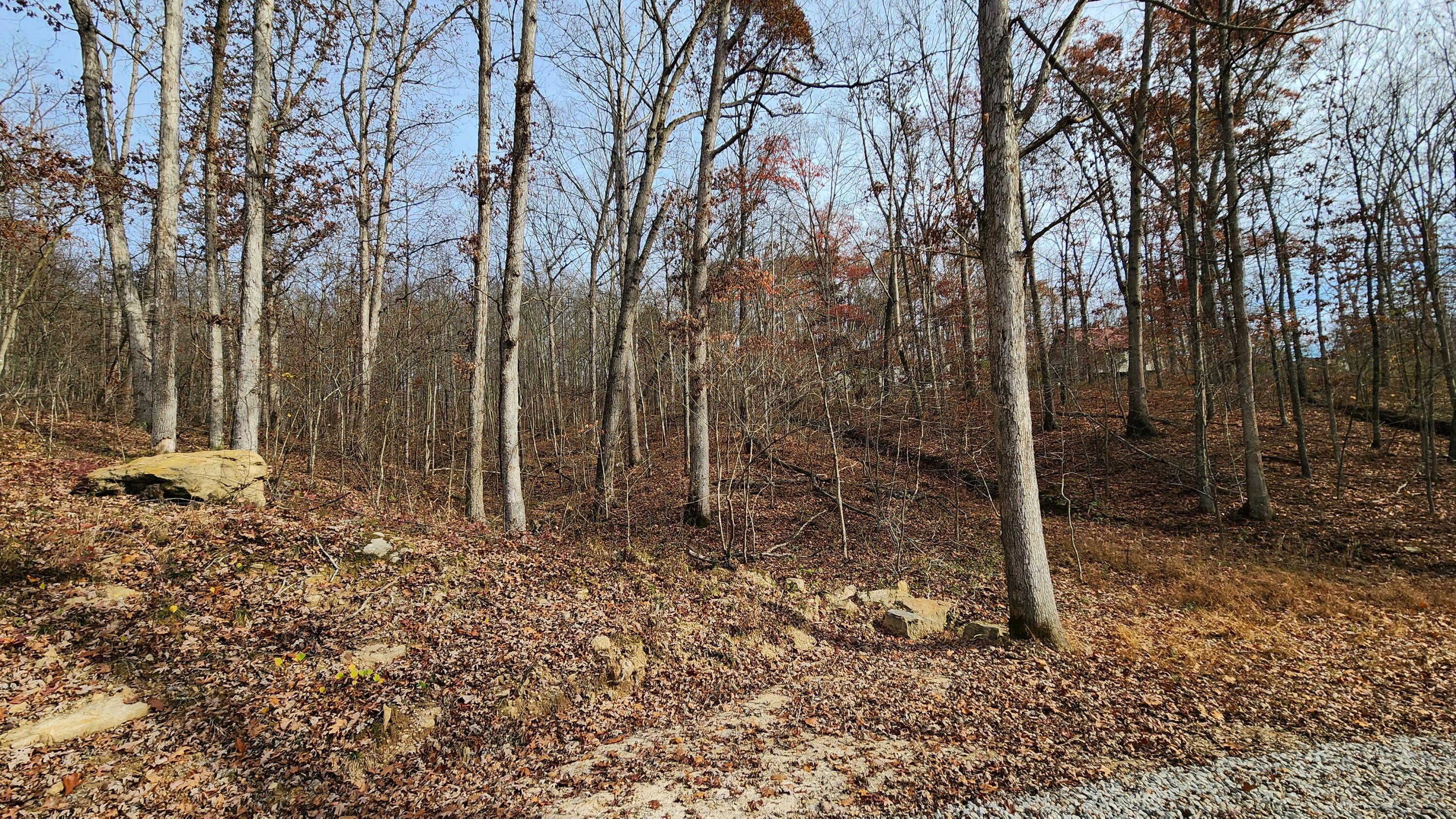 0 Jisco Road, Unit TRACT B) Jackson, OH 45640 - Photo 23 of 43 23