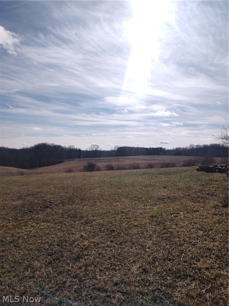 11973 Virtue Road Kimbolton, OH 43749 - Photo 10 of 12 View of nature with rural landscape