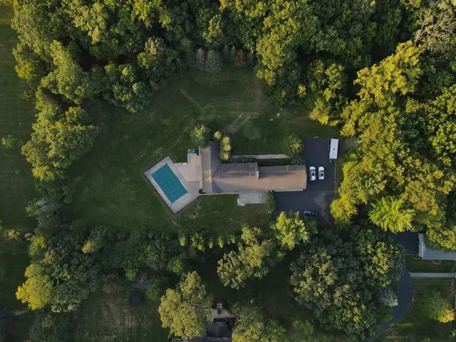 a view of a garden with plants