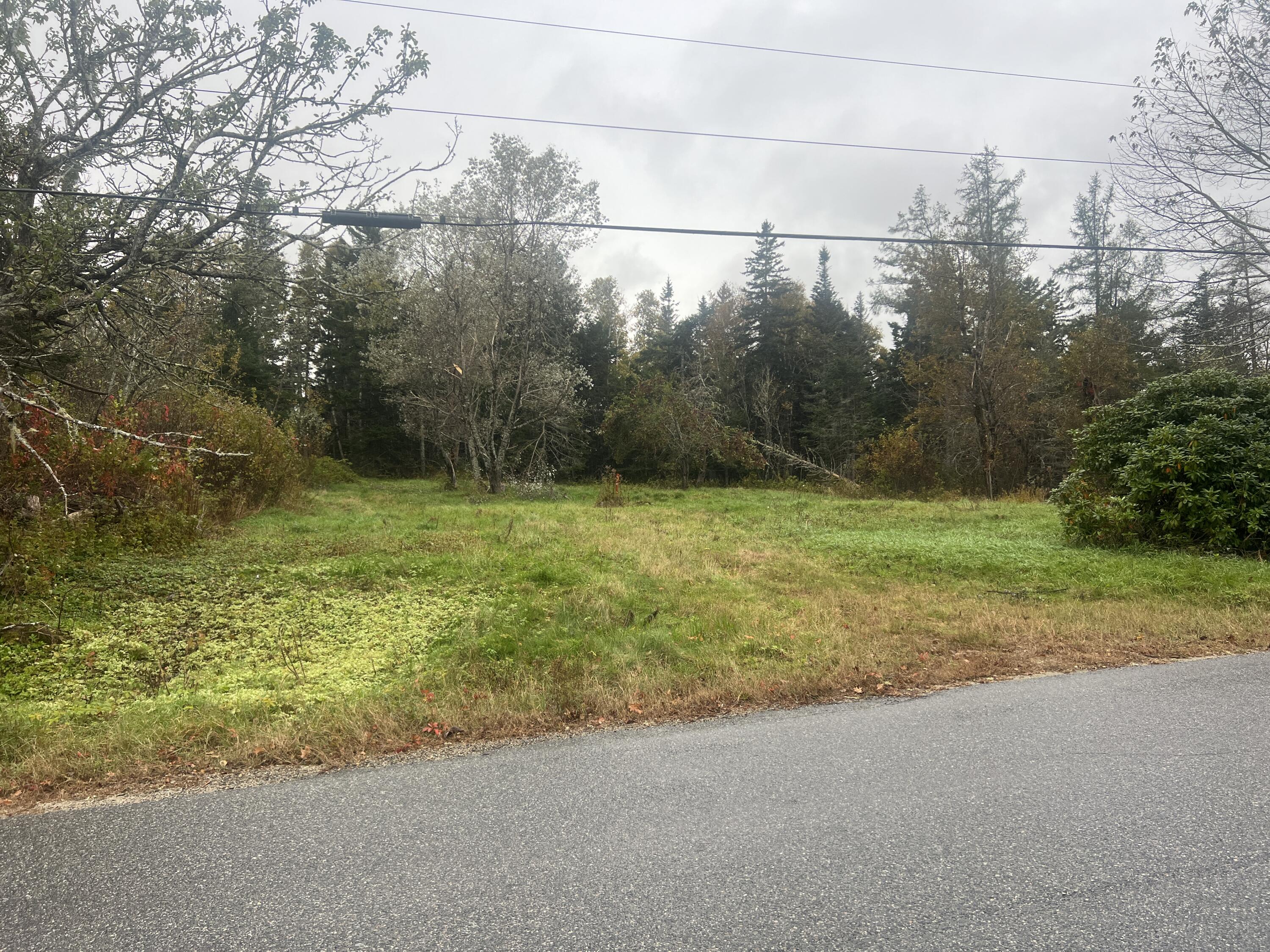 113 Looks Point Road Jonesboro, ME 04648 - Photo 1 of 11 IMG_8181