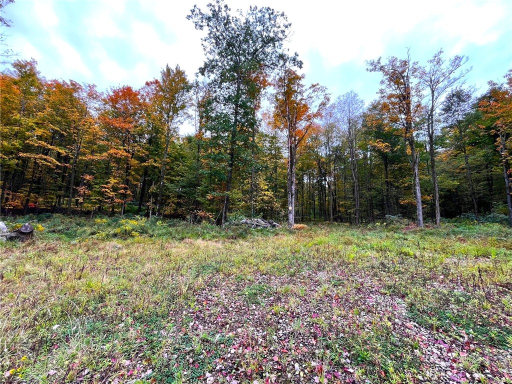 2856 Zimmer Road Scio, NY 14880 - Photo 31 of 50