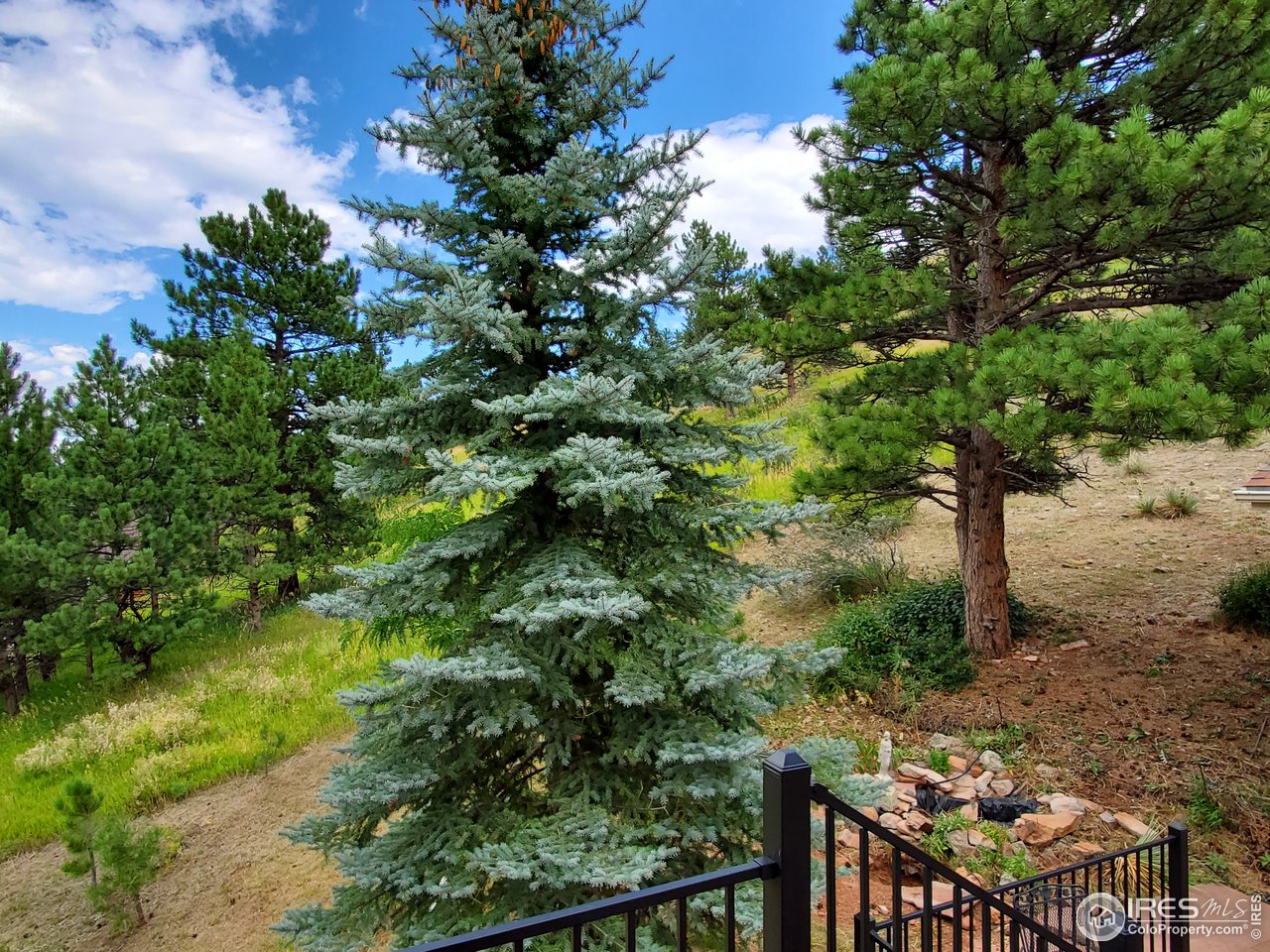 6778 Olde Stage Road Boulder, CO 80302 - Photo 37 of 40