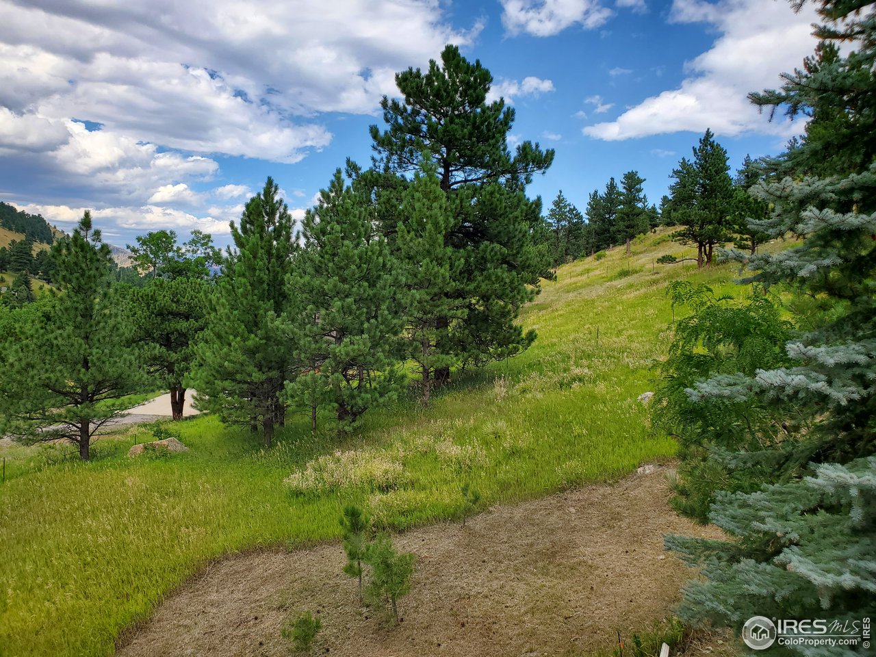6778 Olde Stage Road Boulder, CO 80302 - Photo 7 of 40