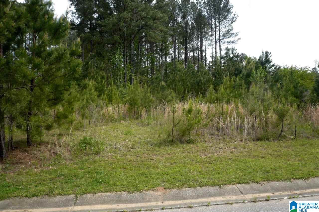 522 Woodbridge Trace, Unit 55 Chelsea, AL 35043 - Photo 2 of 22