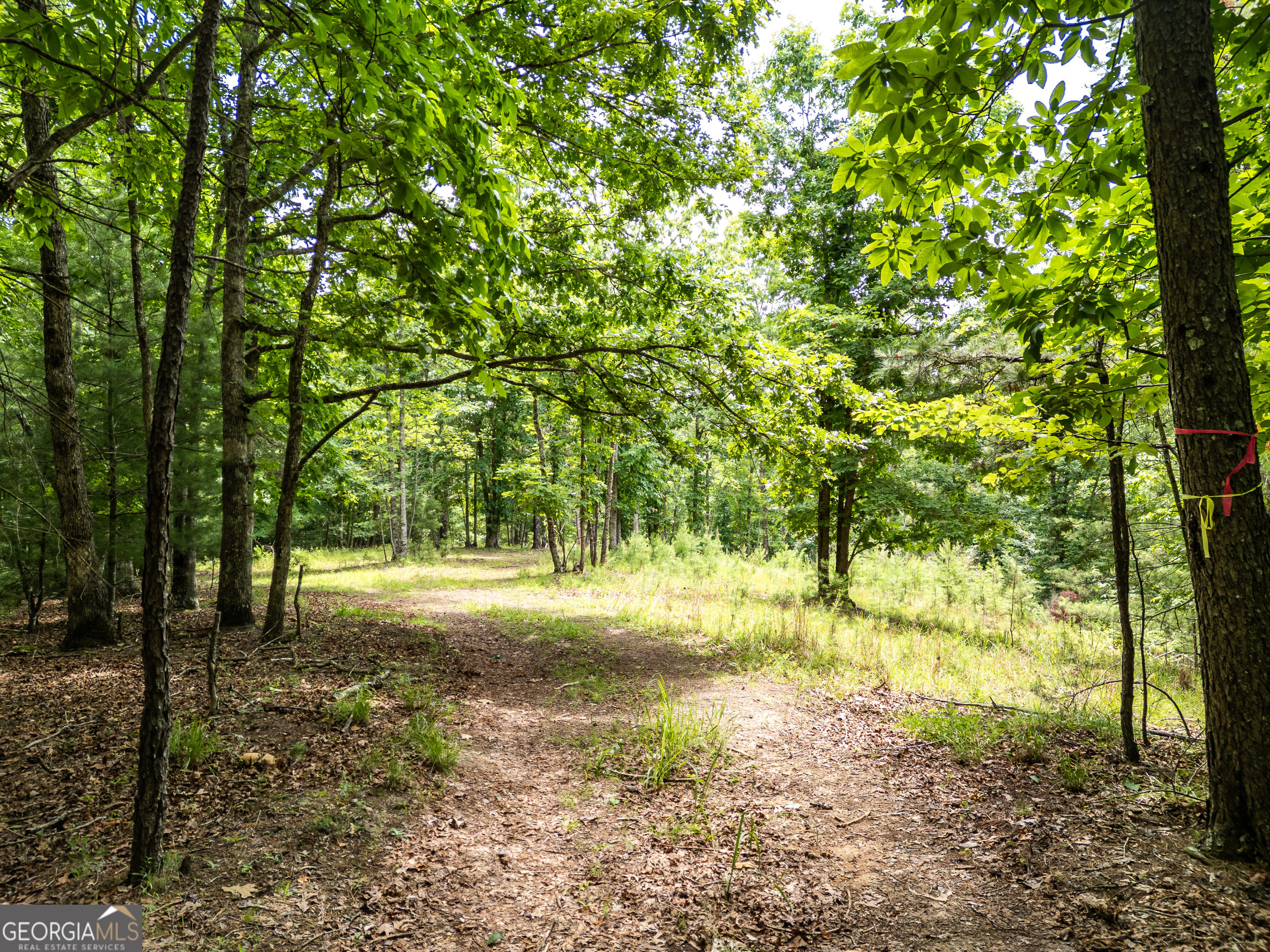 2 Stormy Ridge Brasstown, NC 28902 - Photo 2 of 16