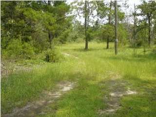 14 Richardson Road Crestview, FL 32539 - Photo 4 of 4 a view of yard with green space and trees