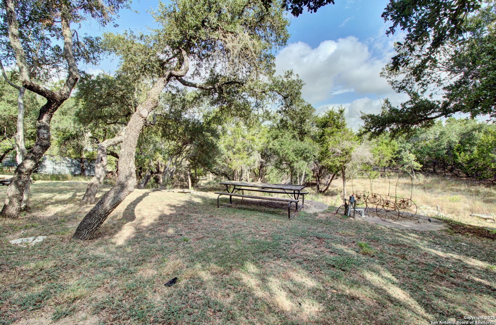6248 Yorkshire Drive Spring Branch, TX 78070 - Photo 27 of 28 a view of a yard with wooden fence