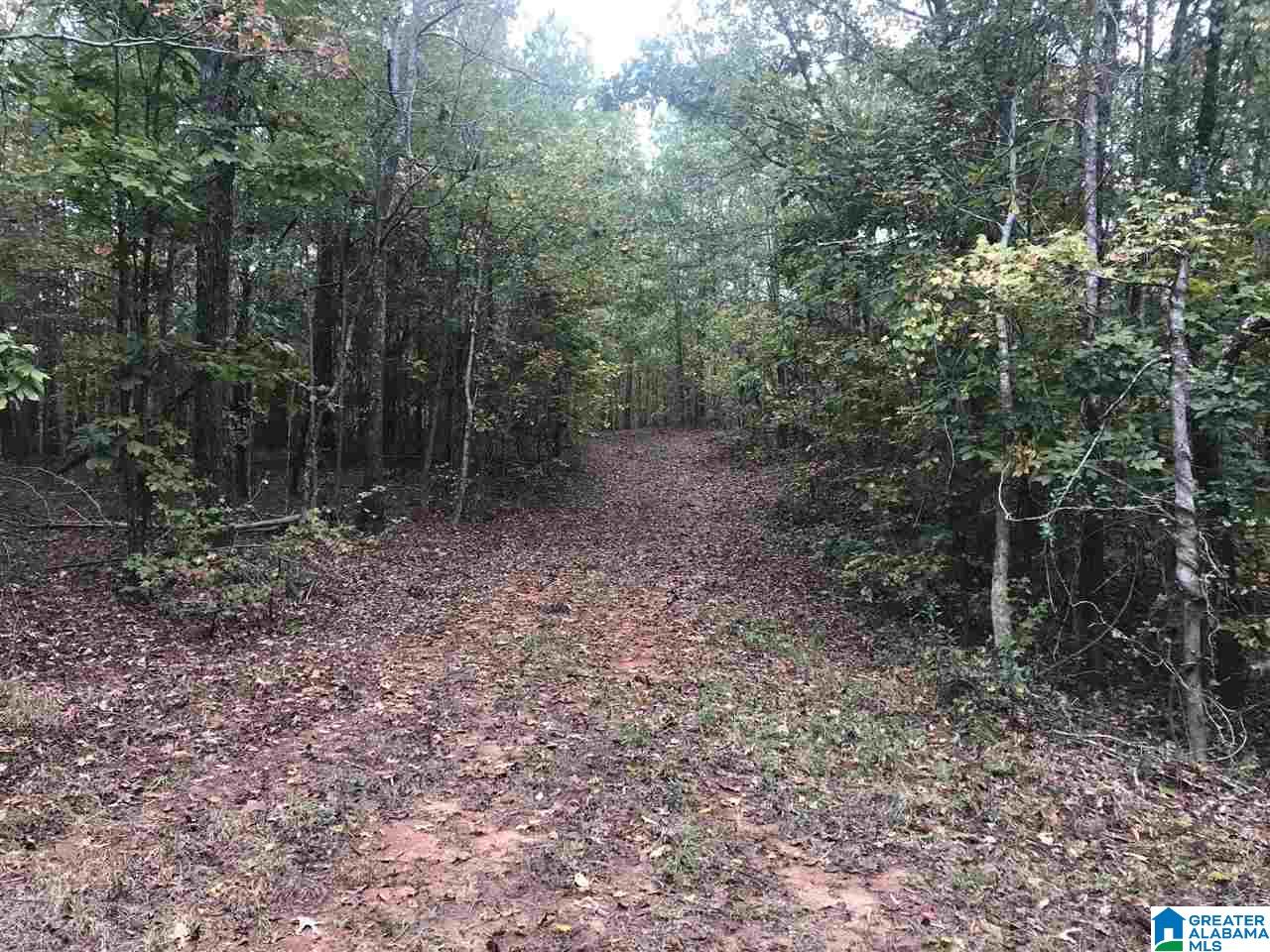 Fire Station Road, Unit 30 Ashland, AL 36251 - Photo 3 of 15