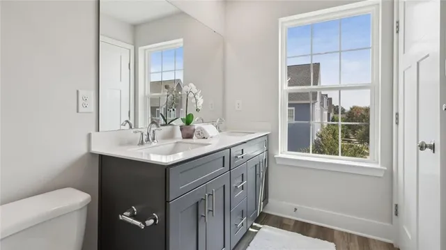 a bathroom with a sink and a toilet