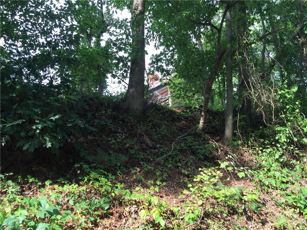 12 Old Winston Road Pinnacle, NC 27043 - Photo 2 of 6