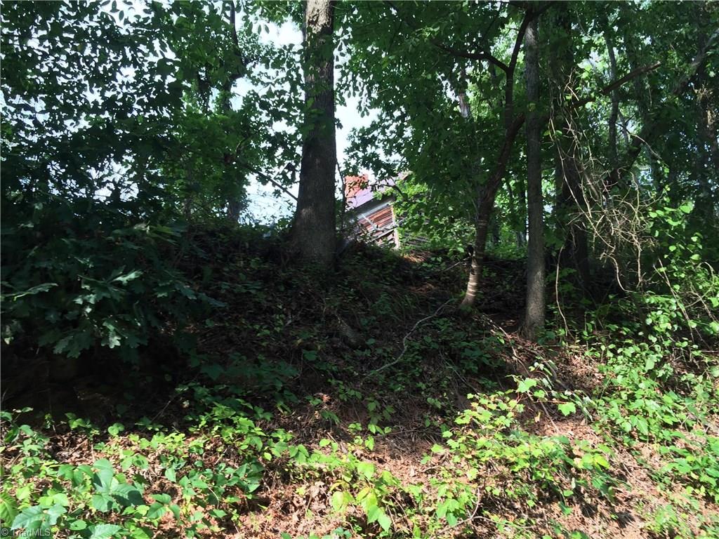 12 Old Winston Road Pinnacle, NC 27043 - Photo 3 of 6