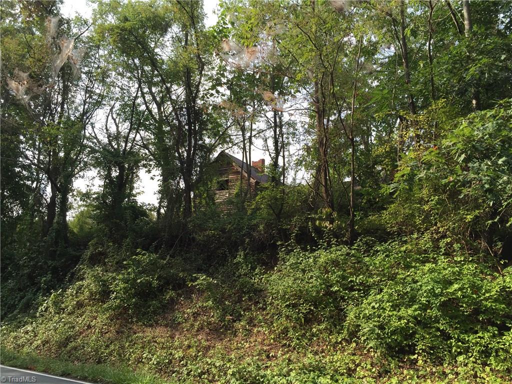 12 Old Winston Road Pinnacle, NC 27043 - Photo 4 of 6