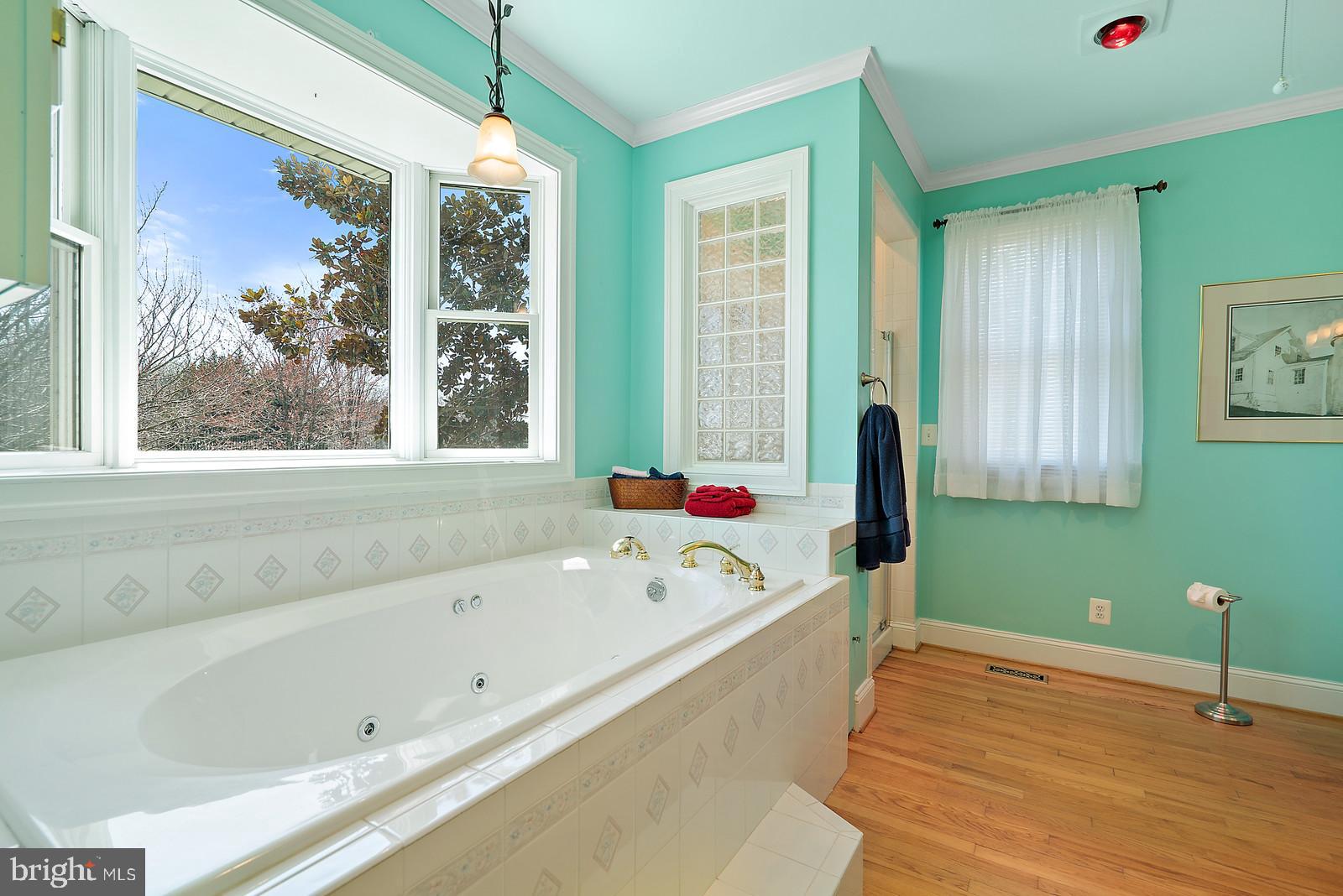 15763 Auburn Road Culpeper, VA 22701 - Photo 18 of 34 Mater Bath