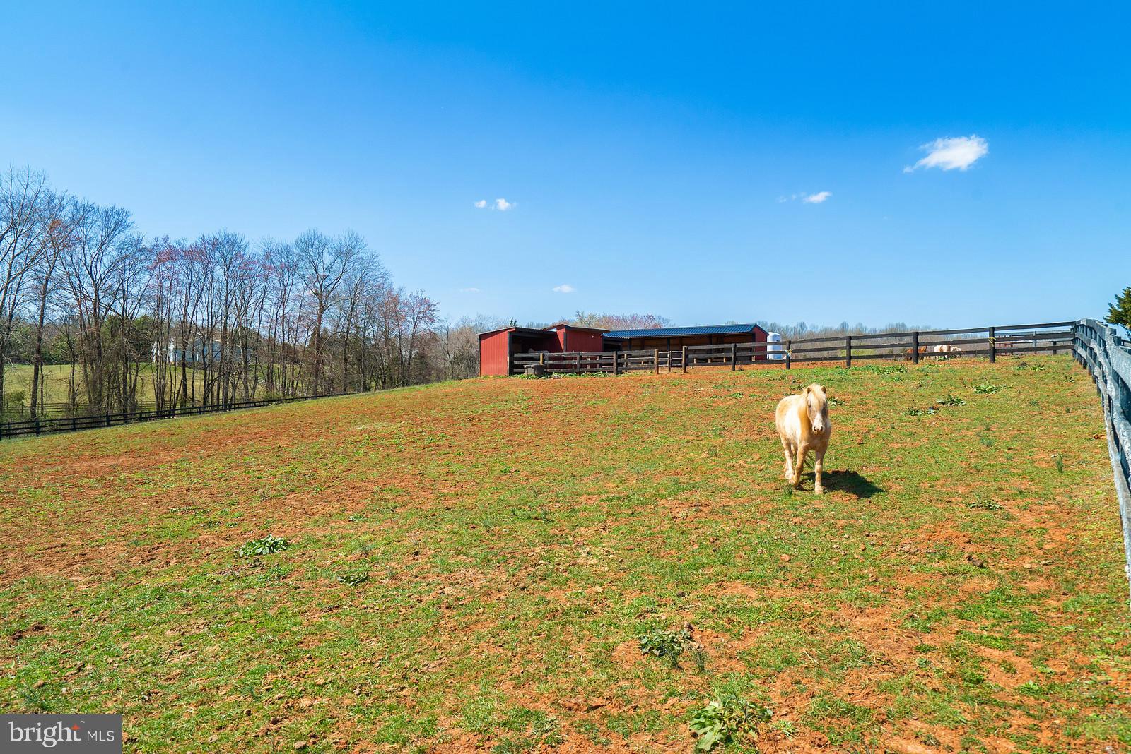 15763 Auburn Road Culpeper, VA 22701 - Photo 33 of 34 Fenced Pasture with Run-ins