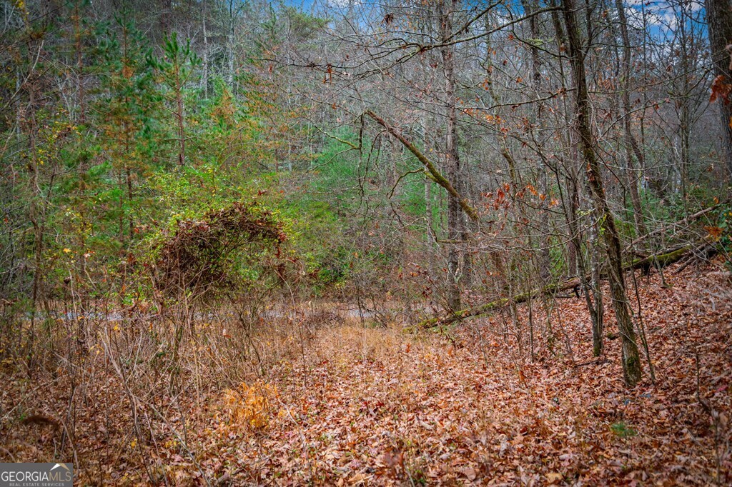 5.97-ac Bullen Gap Road Blue Ridge, GA 30513 - Photo 4 of 11