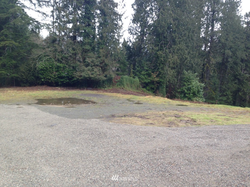 7124 Preston-Fall City Road Southeast Preston, WA 98050 - Photo 2 of 4 a view of a dry yard with trees
