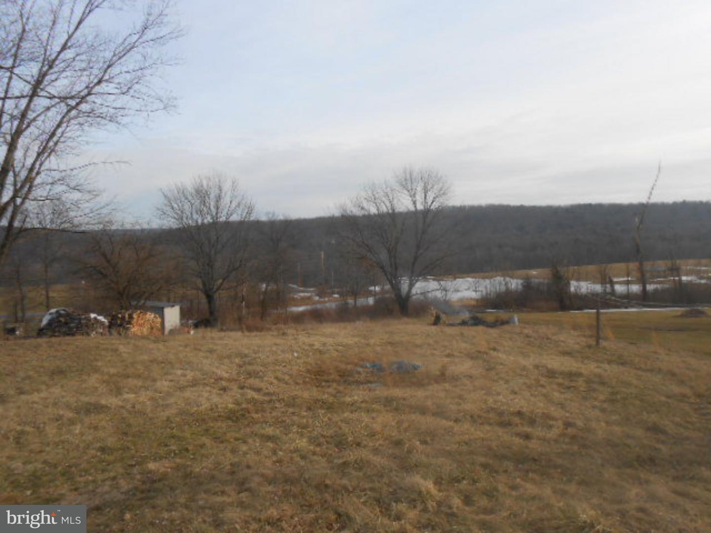 245 Suedberg Road Pine Grove, PA 17963 - Photo 2 of 10 Back Yard