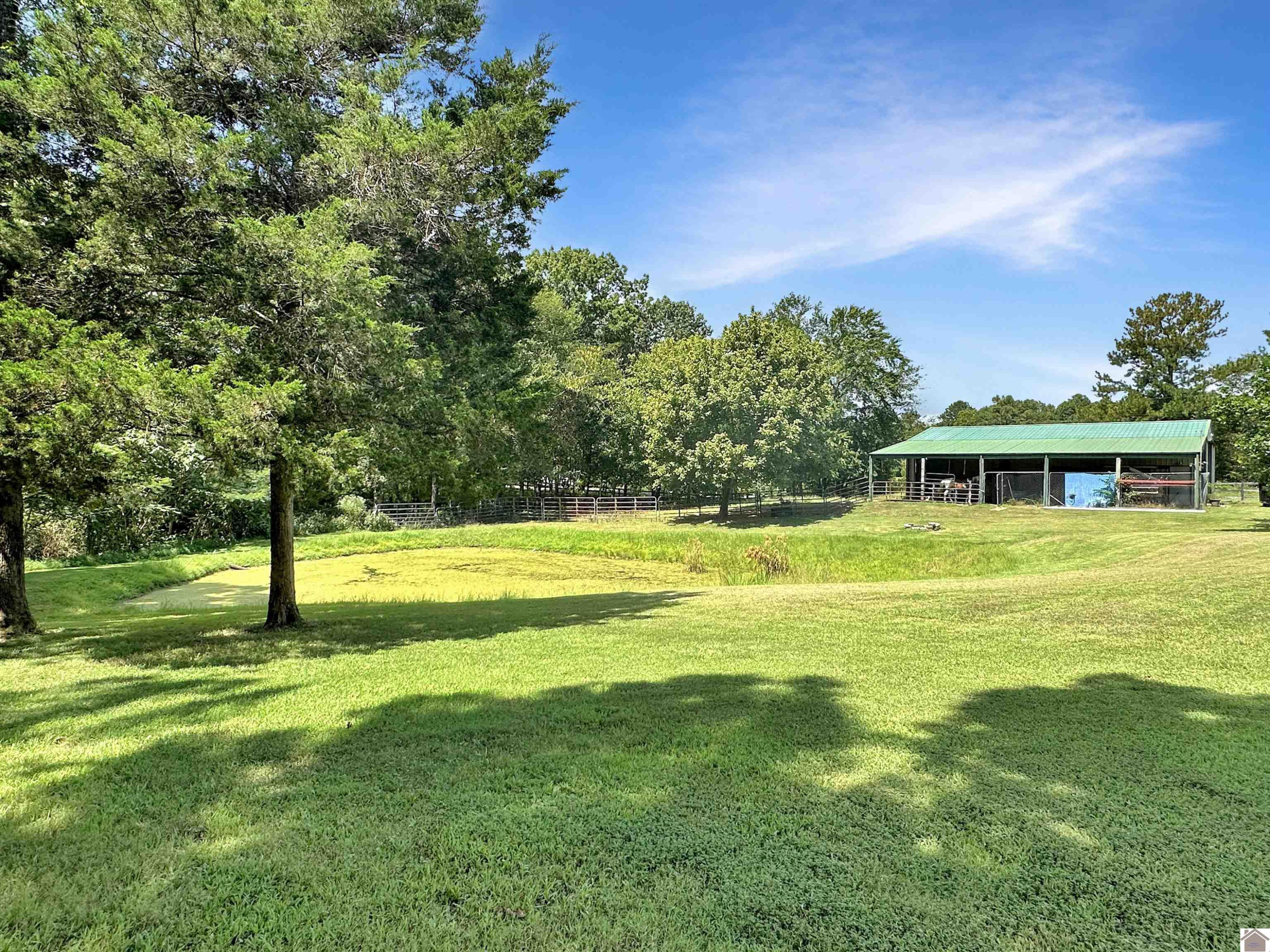 4699 Faxon Road Murray, KY 42071 - Photo 17 of 21 Photo 17